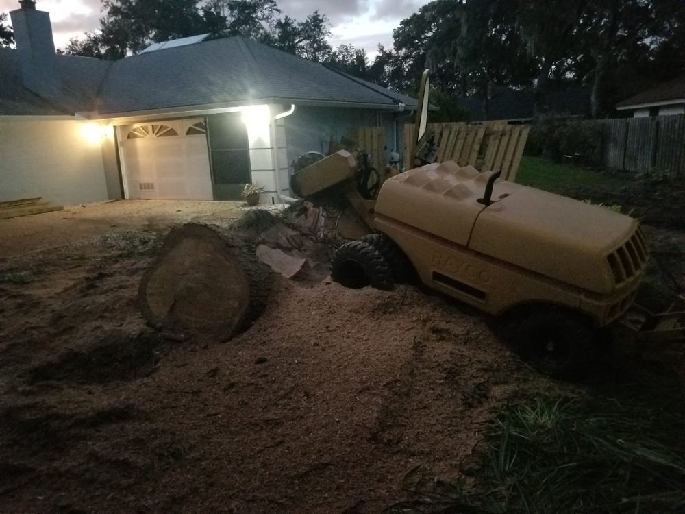 Tree Removal for Spruce Creek Tree Service in Port Orange, FL