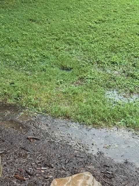 All Photos for Drain My lawn in Monroe, NC