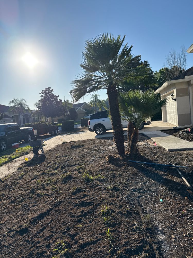 All Photos for Gulf Bay Sod in Clearwater, FL