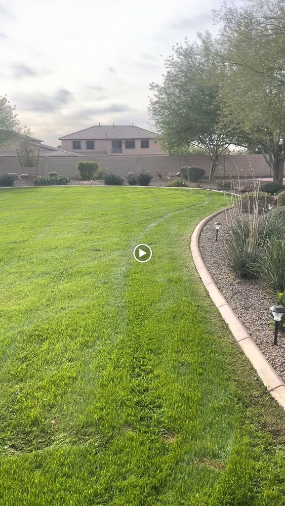 Commercial Lawn Maintenance for American Dream Landscape Company in Surprise, AZ