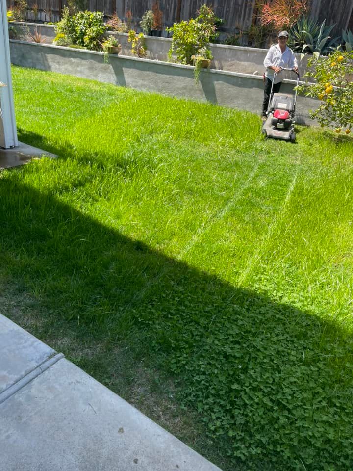 Enhance your property's appeal with our Commercial Property Maintenance service, offering expert care in landscape design, upkeep, and beautification to ensure a pristine outdoor environment that impresses visitors and increases value. for Benito's Gardening in San Juan Capistrano, CA