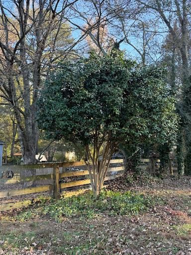 All Photos for Two Brothers Landscaping in Atlanta, Georgia