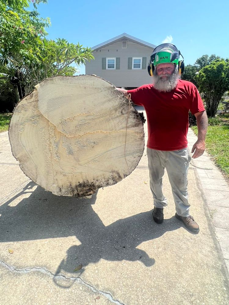 Tree Removal for TREE BOYS in Ruskin, FL