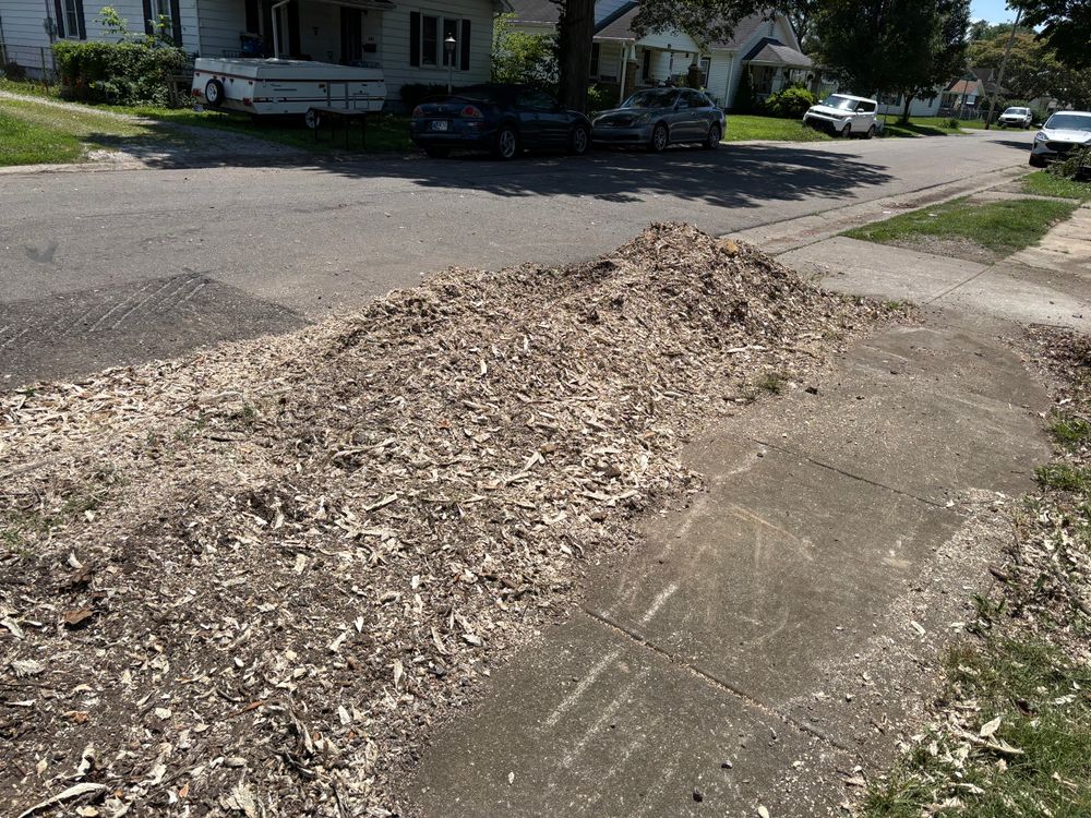 All Photos for Conrad's Stump Removal in Columbus, IN