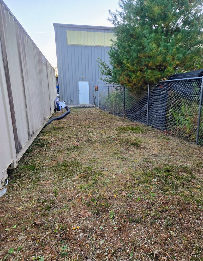 Clean ups and invasive plant management  for C4 TrueVision Renovations in Asheville, NC