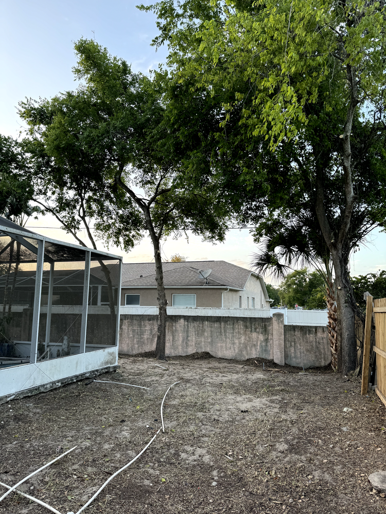 All Photos for Elevation Tree Service in Holiday, FL
