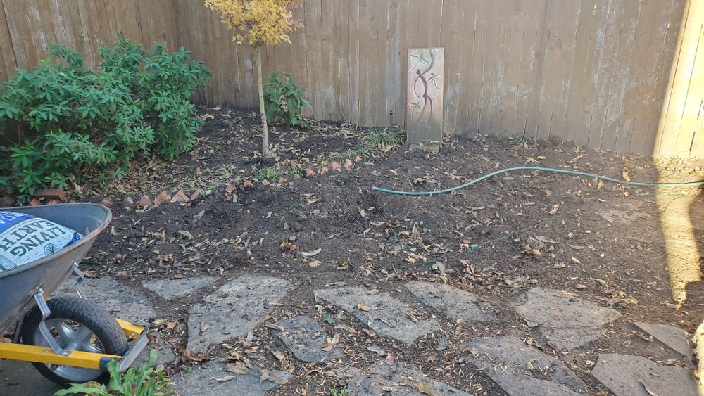 All Photos for Cortez Landscaping Services in Mesquite, TX