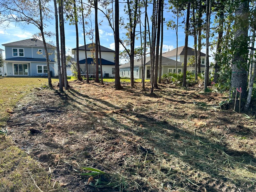Our Forestry Mulching & Underbrush service efficiently clears land, removing underbrush and unwanted vegetation to enhance landscape health, improve property appearance, and increase usability with minimal environmental impact. for AL Dirtworks LLC in St. Augustine, FL