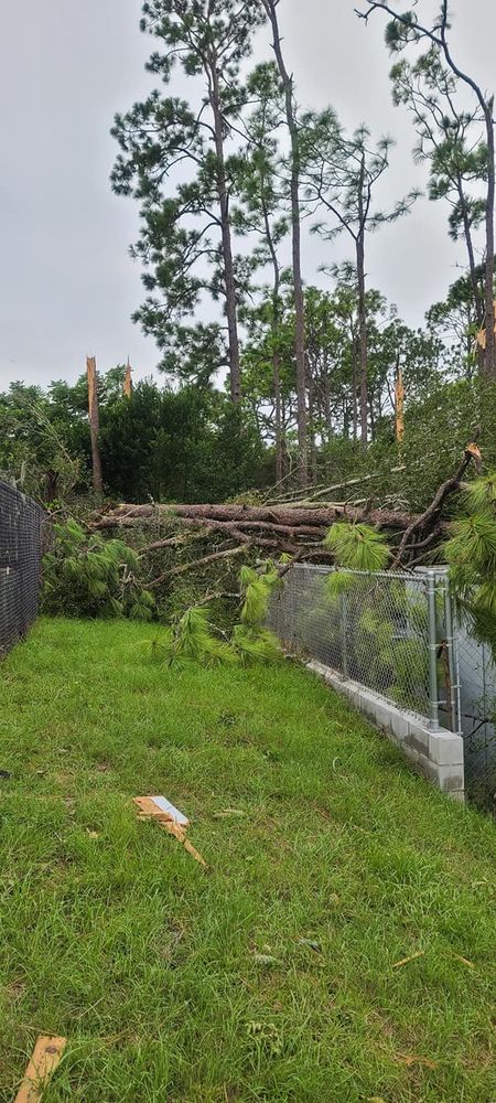 Tree Removal for Daniel Hickey’s Tree Service in DeLand, FL