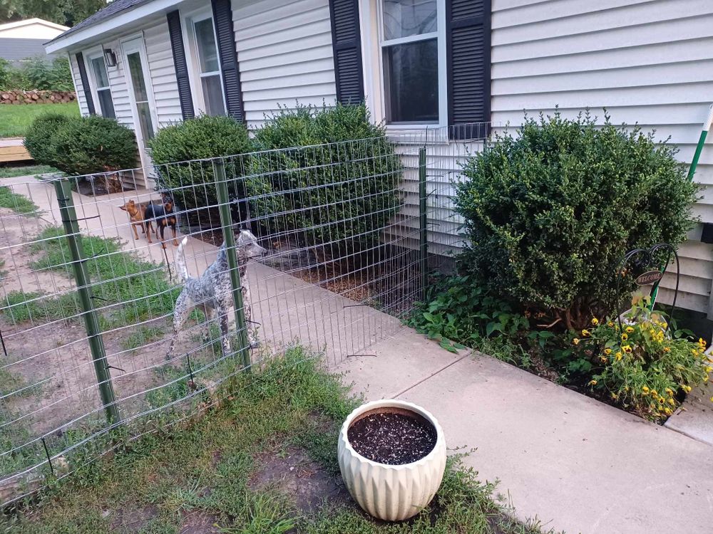 All Photos for Prime Landscaping 219 in Lake Station, IN