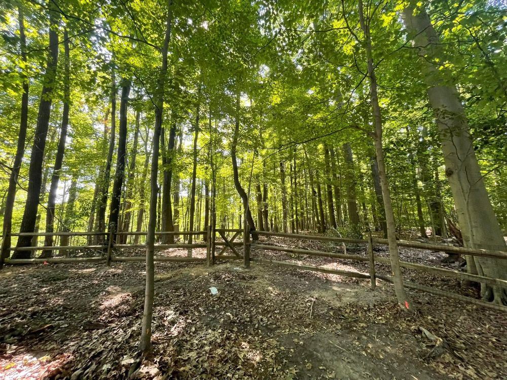 All Photos for Reynoso’s Fencing & Lawn Care in Painesville, OH