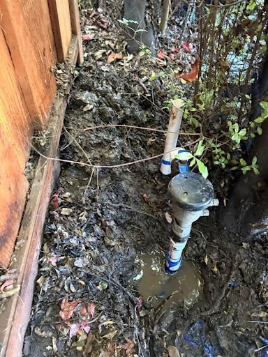 All Photos for CBA Landscaping in Hayward, CA