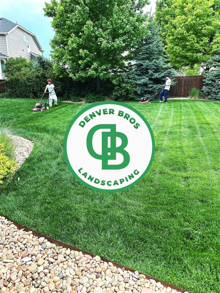 All Photos for Denver Bros Lawn Control in Denver, CO