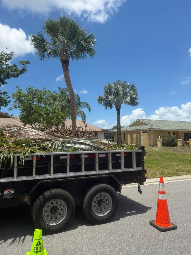 Our Fall Clean Up service ensures your property remains pristine, removing leaves and debris while preparing trees for winter. Elevate your landscape's health and appearance with our thorough seasonal care. for Damian’s Tree Care in Sarasota, FL