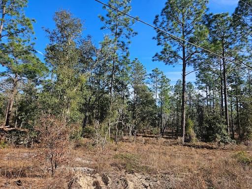 All Photos for J & E Land Clearing, LLC. in Dunnellon, FL