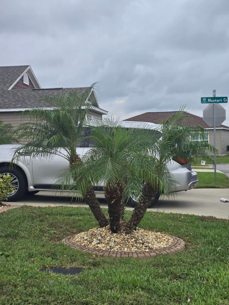 All Photos for TopNotch Landscaping Services  in The Villages, FL