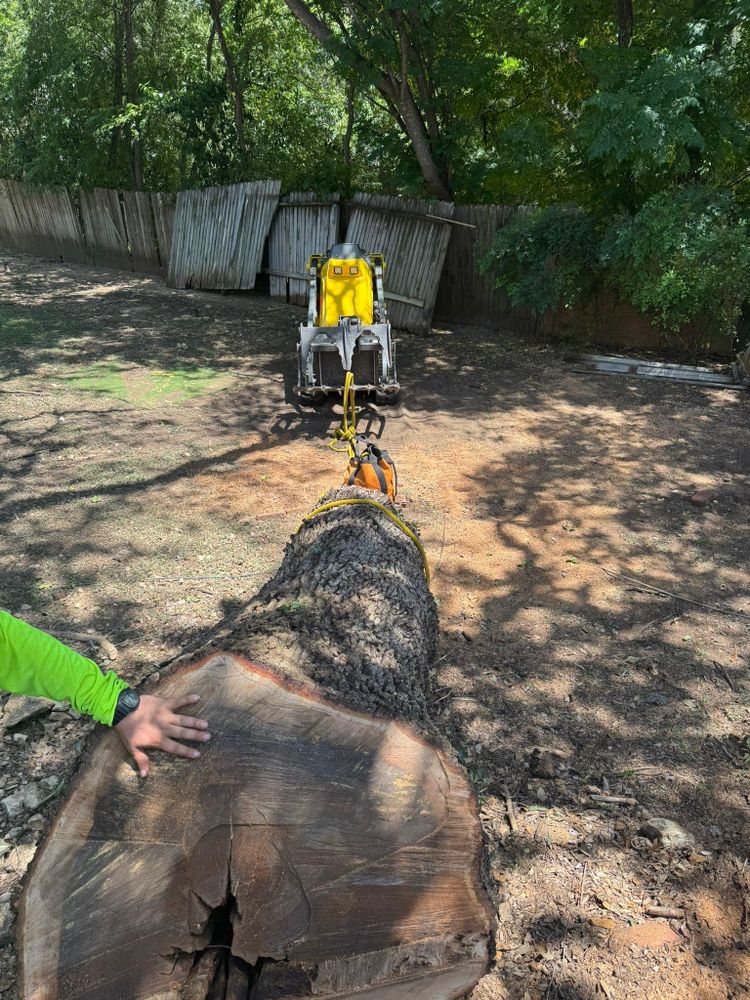 All Photos for Z’s Trees LLC in Grey Forest, TX