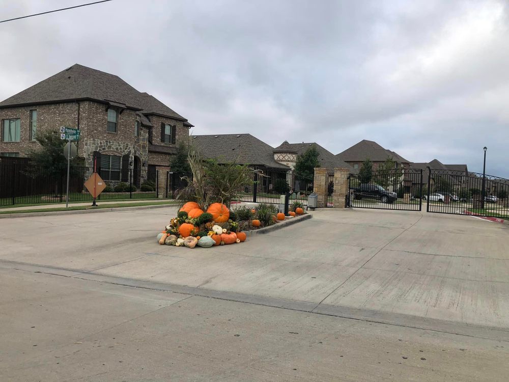 Pumpkin Displays for Rj’s Enchanted Gardens and Fencing LLC in Irving, TX