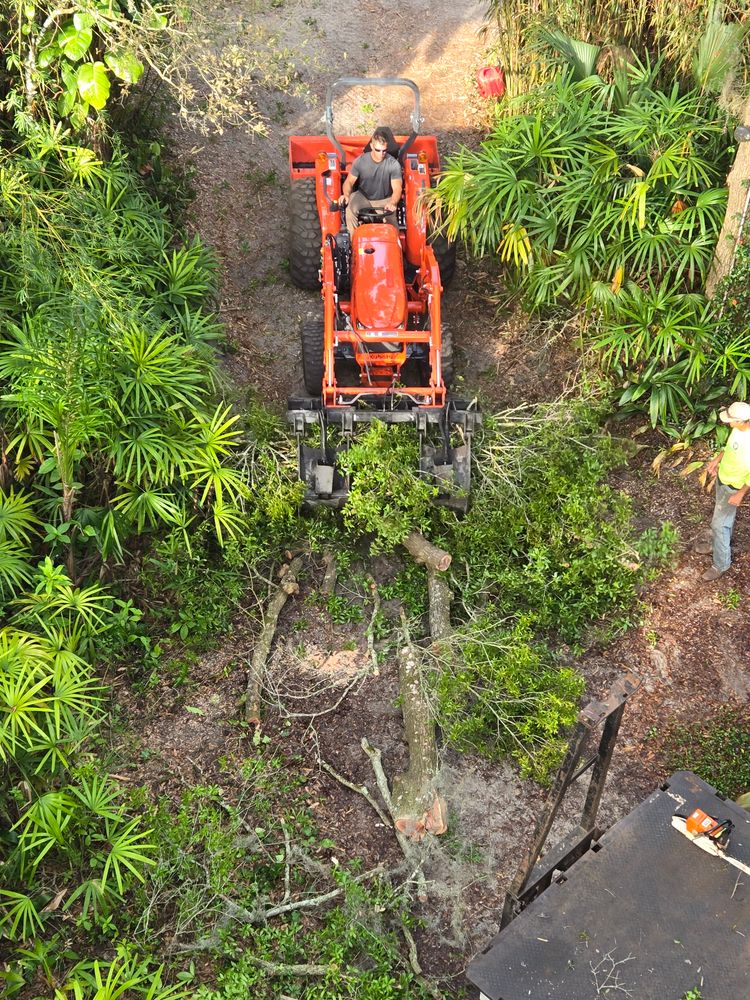 All Photos for Near Me Tree Service, Inc. in DeLand, FL