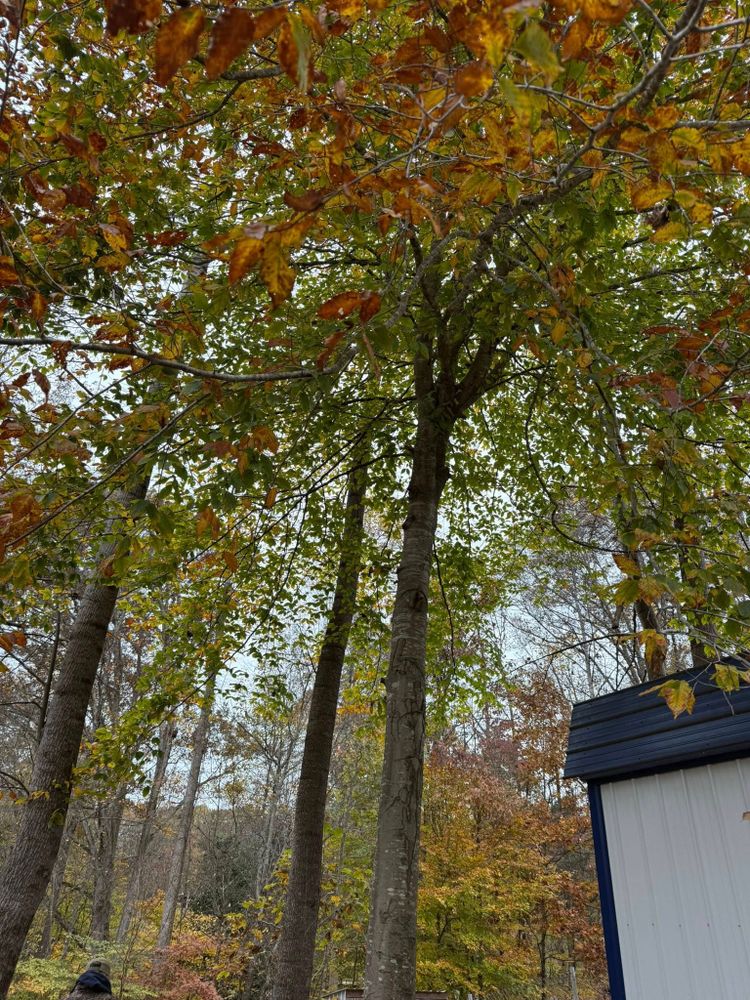 All Photos for True Grit Hauling in Athens, TN