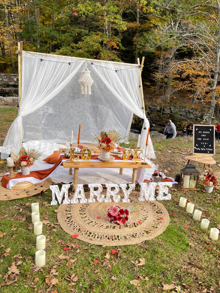 All Photos for Pink Tree Picnic in Hartford, CT