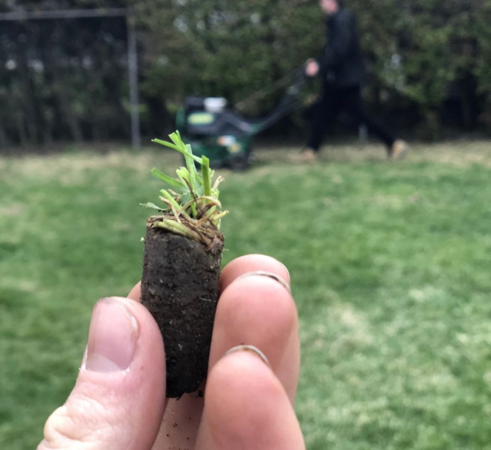 Improve your lawn’s health and curb appeal with professional aeration! We offer standard core aeration or a gold package with seeding, fertilizing, and grass edging. for Signature Property Care Inc. in Greater Sudbury, ON