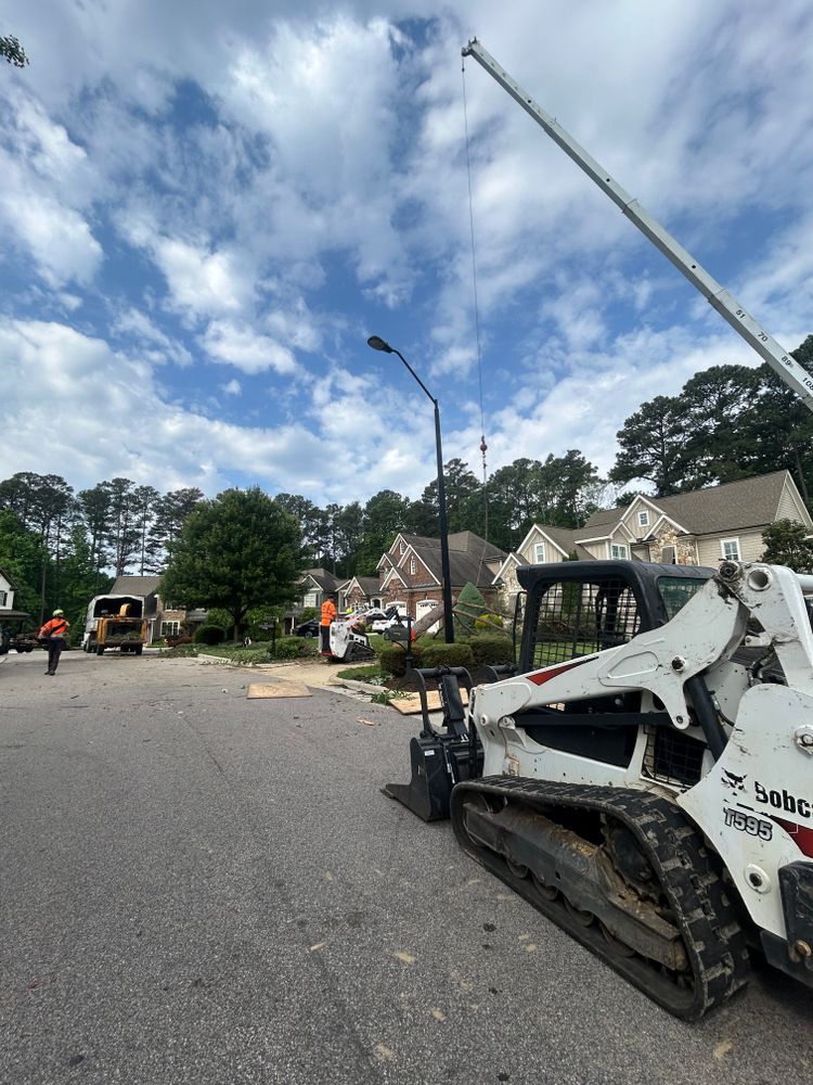 All Photos for AB Tree Service in Raleigh, NC