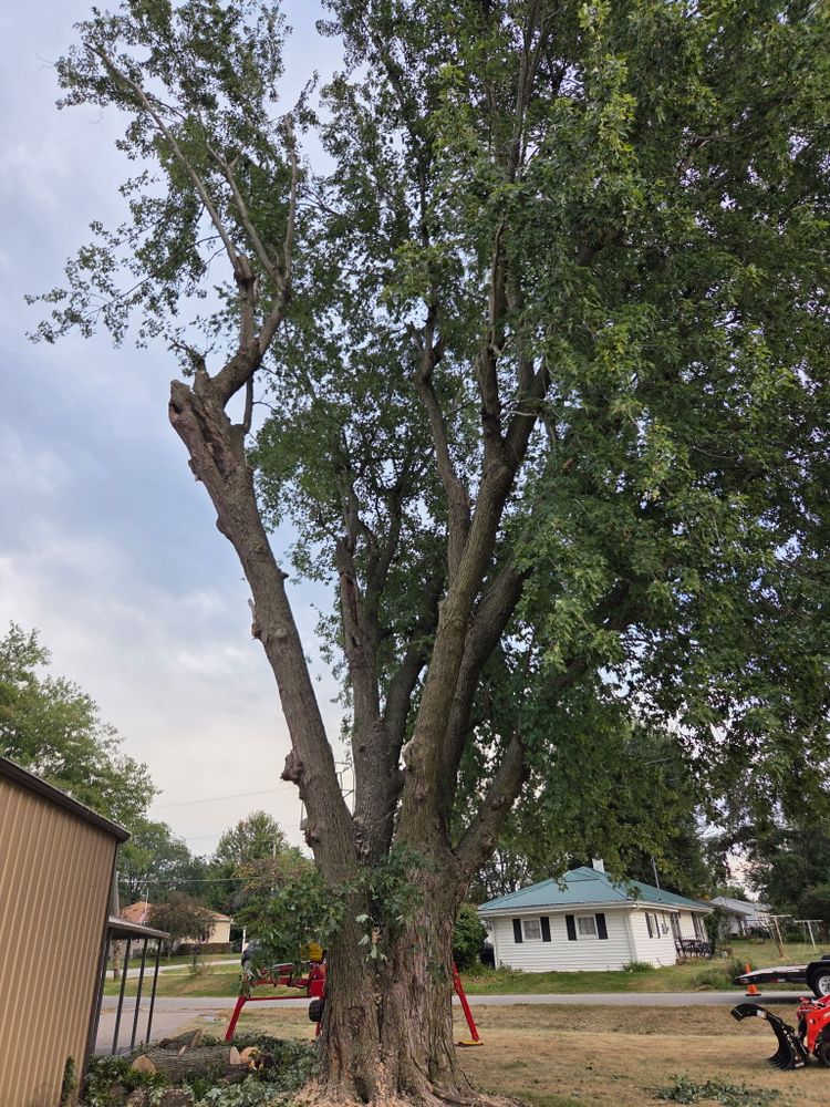 All Photos for Lawn Ranger Yard And Tree Service LLC in Ottumwa, IA