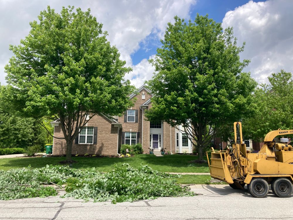 All Photos for Village Tree Service  in Whitestown, IN