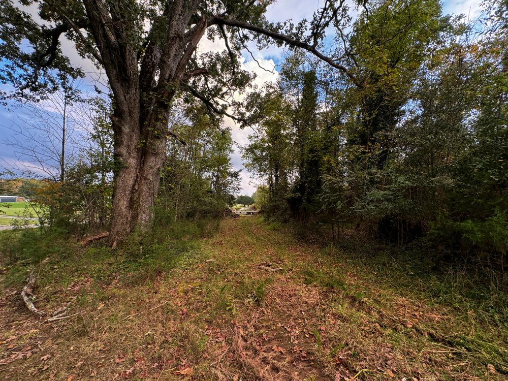 All Photos for Cone Grading and Land Clearing in Summerfield, NC