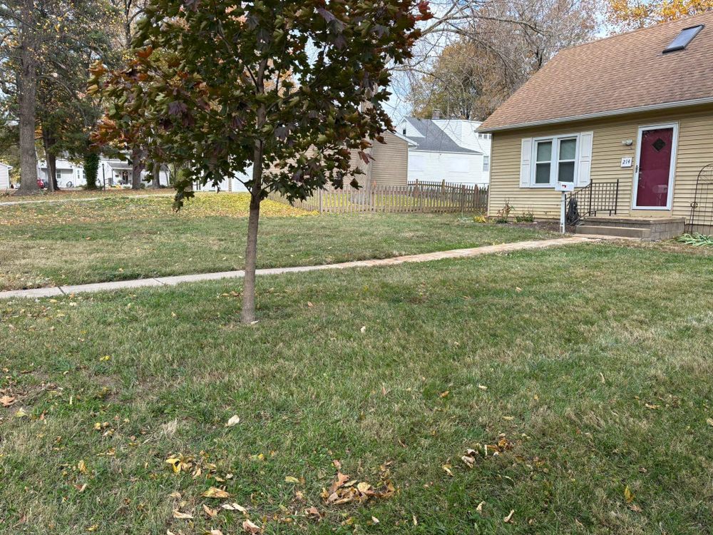 All Photos for Andrew's Lawn Service LLC in Lebanon, IL