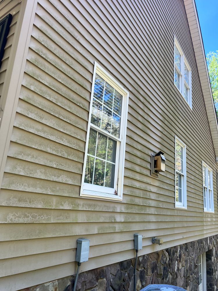 All Photos for Susan's Painting in Greensboro, NC