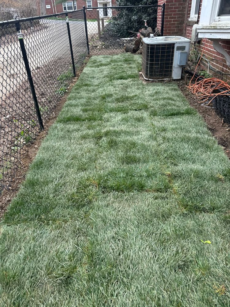 All Photos for Matteo Hardscapes in Towson,  MD