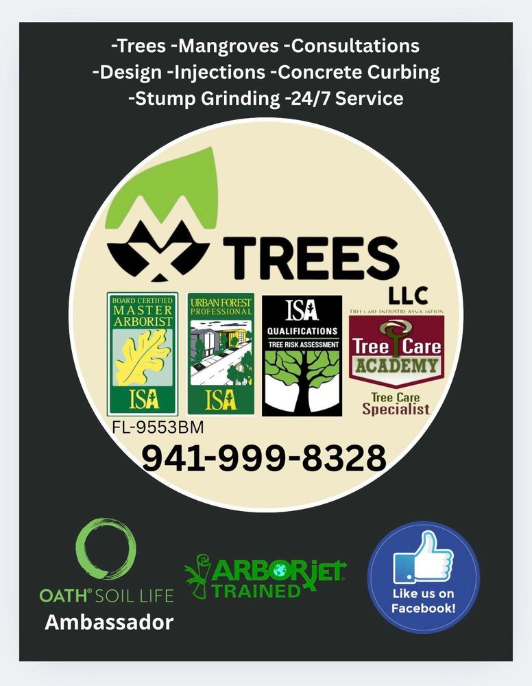 All Photos for MX Trees in Englewood, FL