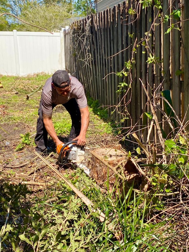 All Photos for Top Notch Tree Experts in Orange Park, FL