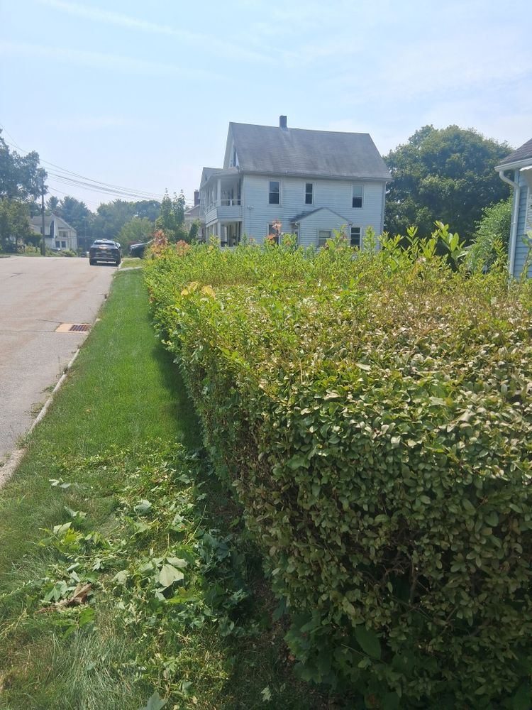 All Photos for Landscape Innovations LLC in Torrington, CT