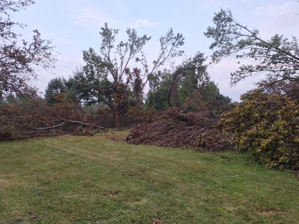 Emergency Storm Work for Highborn Tree Service in Wheatfield, IN