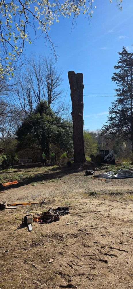 All Photos for Hamlett Tree Service LLC in Clover, VA