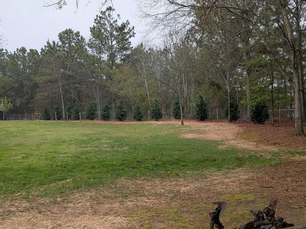 All Photos for Tri-P Services in Athens, GA