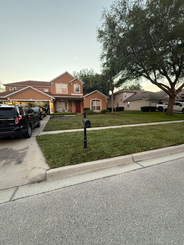 All Photos for Amerigrown Tree And Lawn in Apopka, FL
