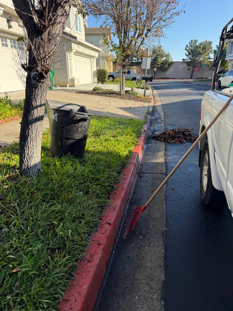 All Photos for CBA Landscaping in Hayward, CA