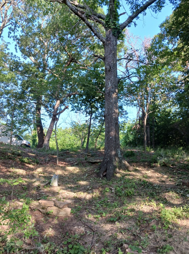 All Photos for Isaiah 43 Ranch in Northeast Oklahoma , OK