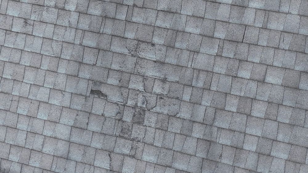 All Photos for FNS Exterior Consulting LLC, Powered By Live OAK in Cumming, GA