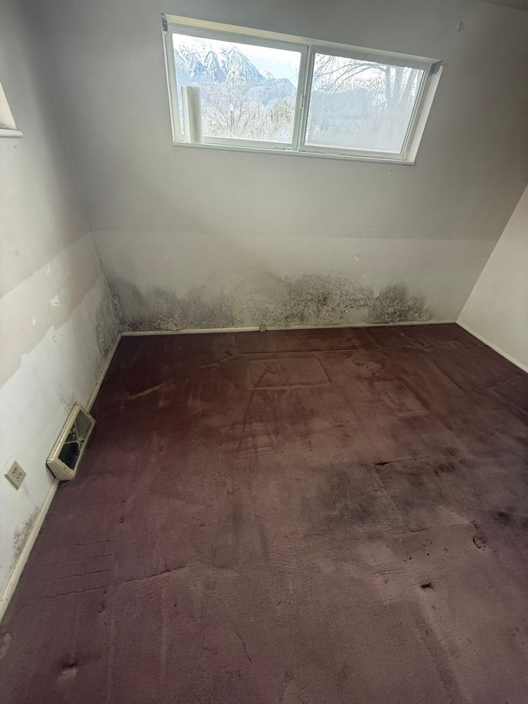 All Photos for ACM Environmental in Salt Lake City, UT