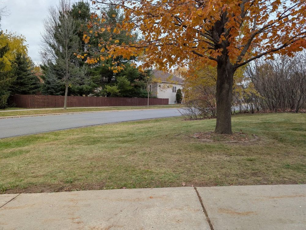 All Photos for TCB Lawn Care & Snow Removal in Sun Prairie, WI