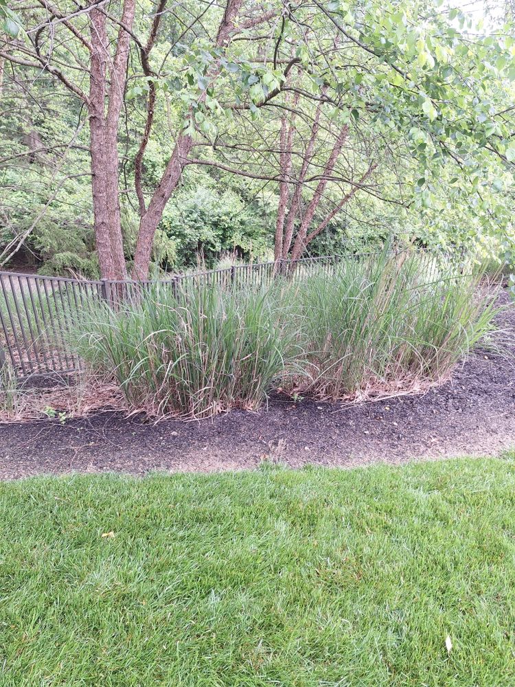 All Photos for Cincinnati’s Finest Landscape Services LLC in Cincinnati, OH