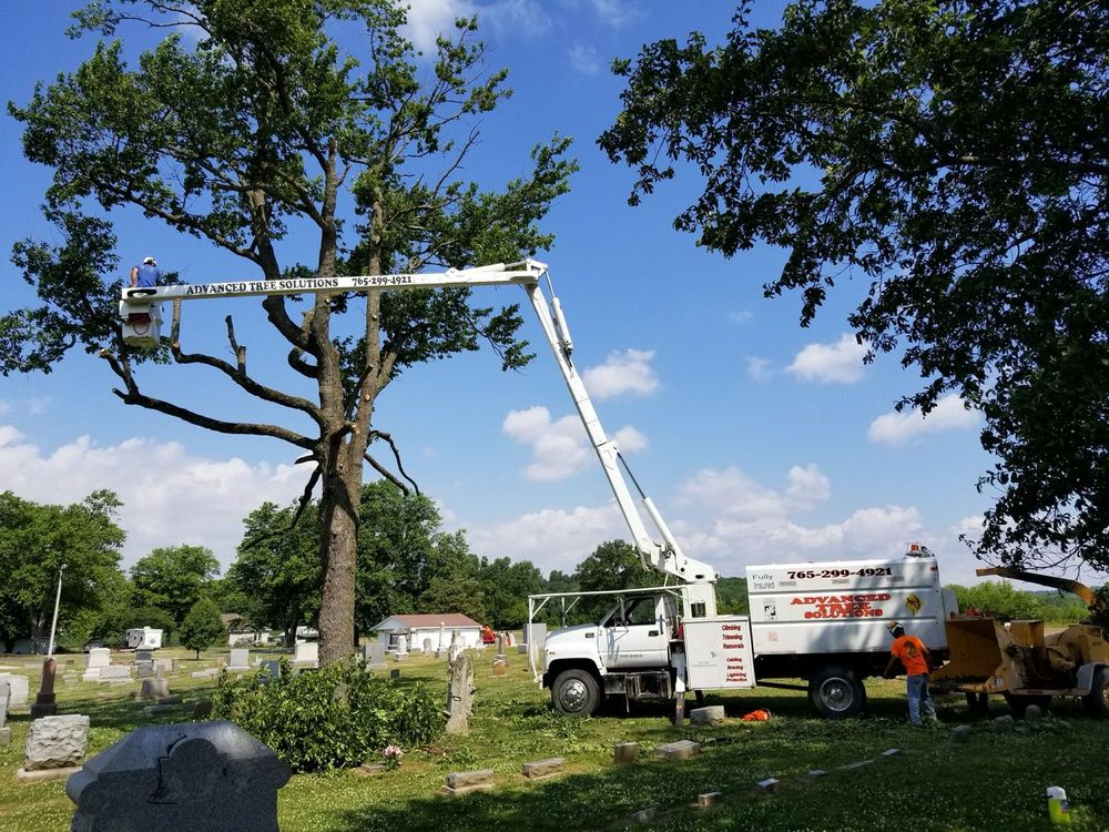 Our Zero Impact Approach ensures tree care with minimal disruption, protecting your landscape and property by using eco-friendly methods and equipment to carefully manage trimming, removal, or maintenance tasks. for Advanced Tree Solutions in Rockville, IN