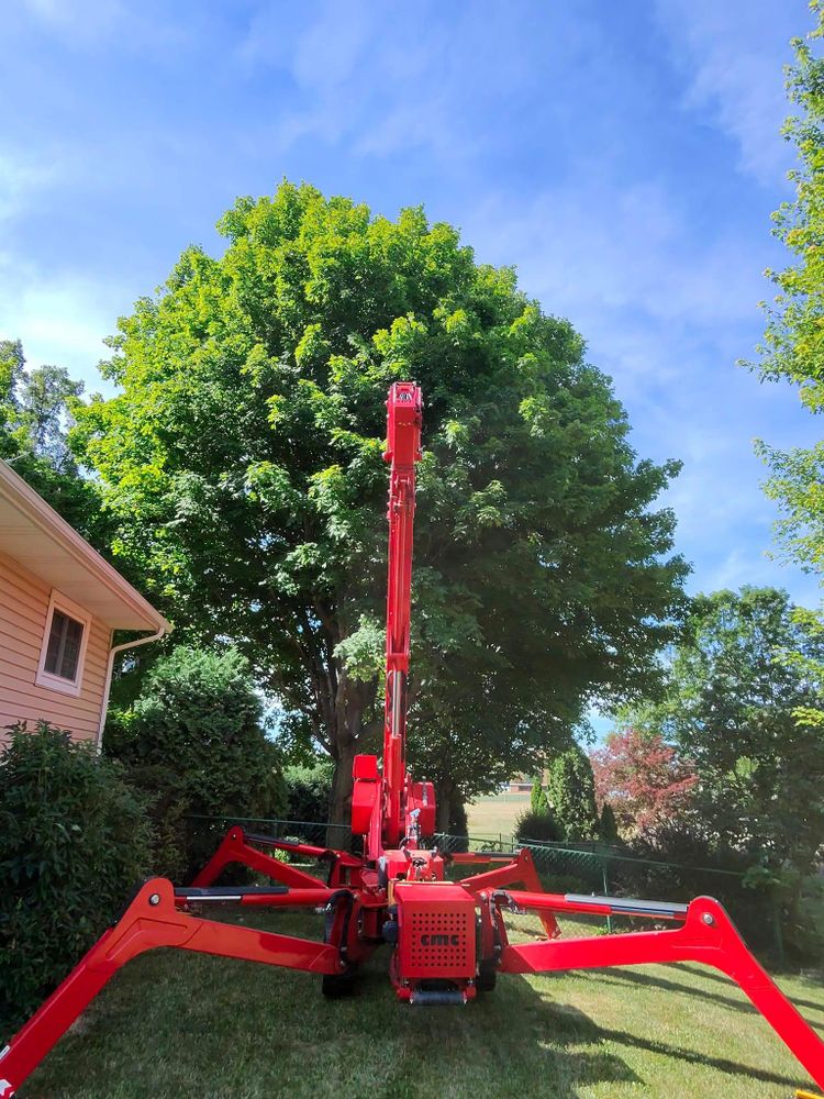 All Photos for F & F Tree Service in Beavercreek, OH