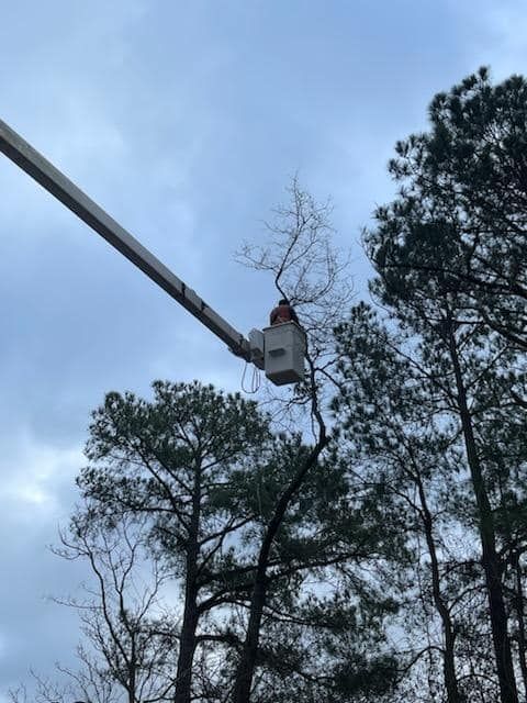 All Photos for Barbers Outdoor Services in Grays Creek, NC