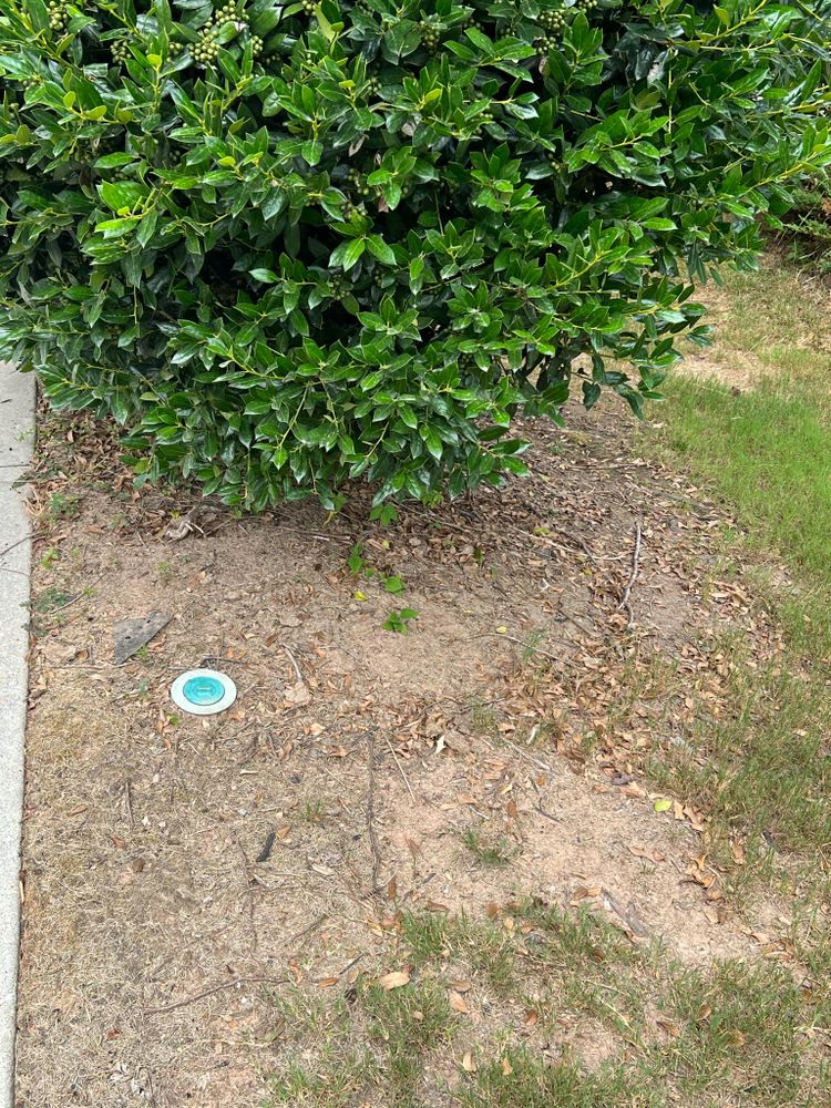 All Photos for Williams Brothers Landscaping & Construction in Atlanta, GA